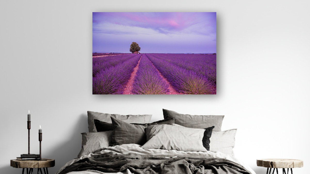 Rani Bruchstein Photography and Art